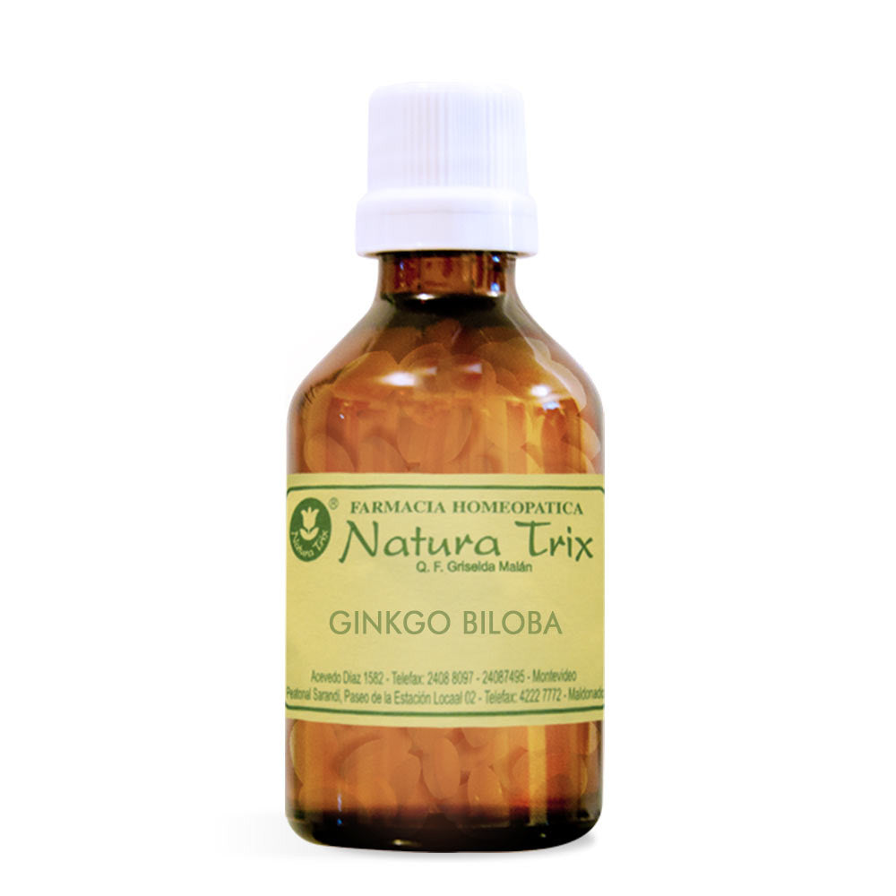 Ginkgo Biloba